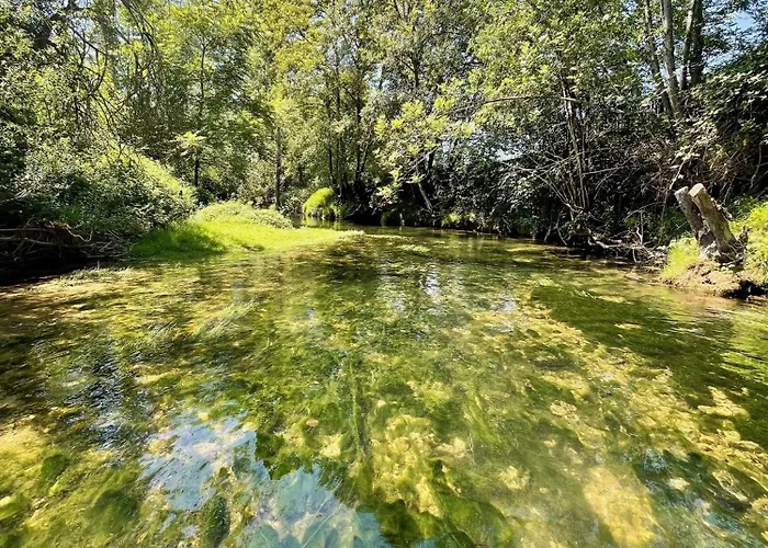 La Chartreuse De Tom Saint-Aubin-de-Nabirat