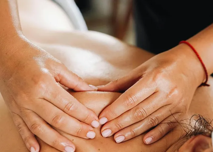 La Chartreuse De Tom 別荘 *